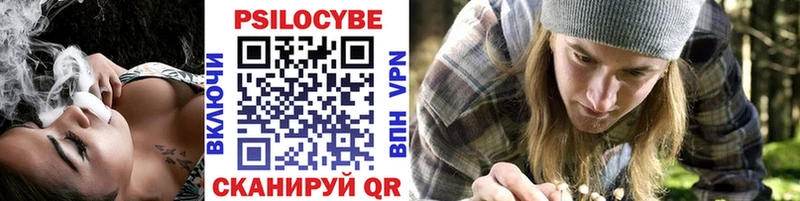 kraken ТОР  Нерюнгри  Псилоцибиновые грибы ЛСД  сколько стоит 